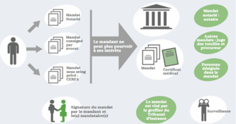 Anticiper La Dépendance : Mandat De Protection Future, Fiducie-gestion ...